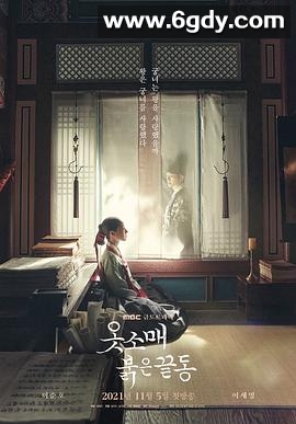 衣袖红镶边(2021)完结17集全迅雷网盘全集下载