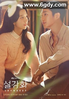 雪滴花(2021)完结16集全迅雷网盘全集下载