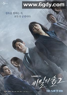 秘密森林2(2020)完结16集全迅雷网盘全集下载