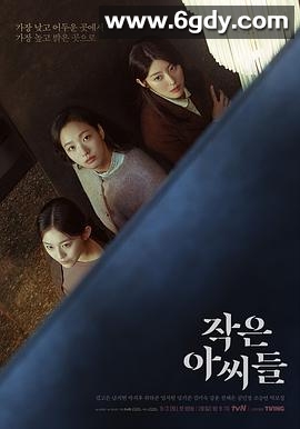 小小姐们(2022)完结12集全迅雷网盘全集下载