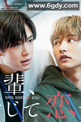 前辈，这不叫恋爱！(2022)完结已完结迅雷网盘全集下载