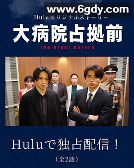 占领大医院前 the night before(2023)完结已完结迅雷网盘全集下载