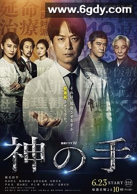 神之手(2019)完结完结迅雷网盘全集下载