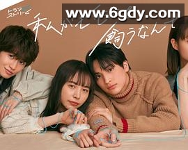 我竟然养了个小白脸(2023)完结更新至08集迅雷网盘全集下载