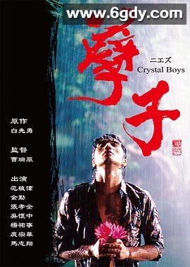 孽子(2003)完结完结迅雷网盘全集下载
