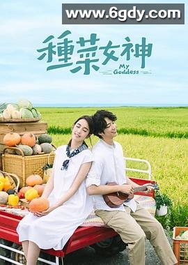 种菜女神(2018)完结24集全迅雷网盘全集下载