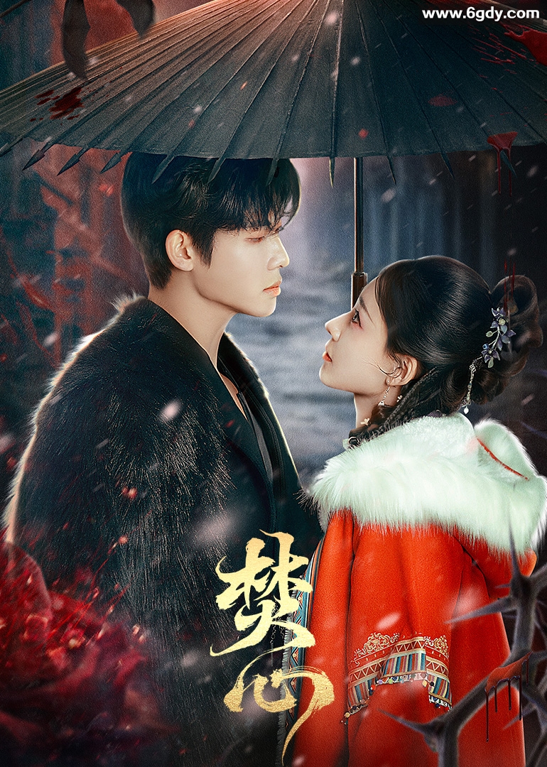 焚心(2025)完结全23集迅雷网盘全集下载