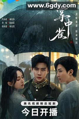 掌中雀(2025)完结24集全迅雷网盘全集下载