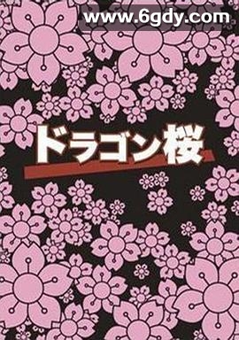 龙樱(2005)完结11集全迅雷网盘全集下载