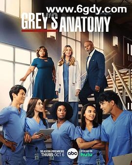 实习医生格蕾 第十九季(2022)完结20集全迅雷网盘全集下载