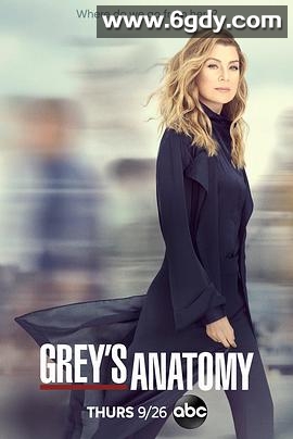 实习医生格蕾 第十六季(2019)完结21集全迅雷网盘全集下载