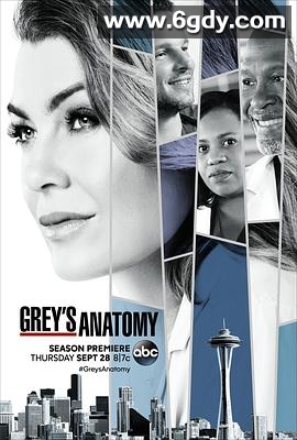 实习医生格蕾 第十四季(2017)完结24集全迅雷网盘全集下载