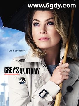 实习医生格蕾 第十二季(2015)完结24集全迅雷网盘全集下载