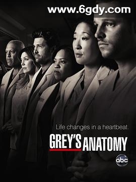 实习医生格蕾 第七季(2010)完结全22集迅雷网盘全集下载