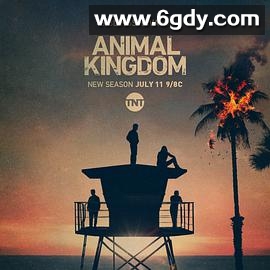 野兽家族 第五季(2021)完结13集全迅雷网盘全集下载