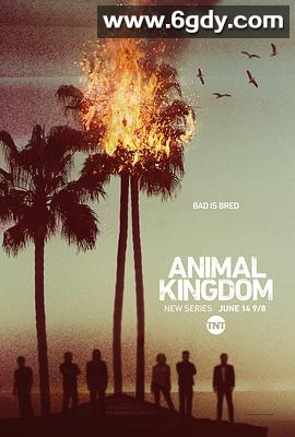 野兽家族 第一季(2016)完结10集全迅雷网盘全集下载