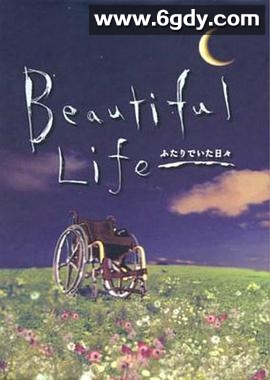 美丽人生2000(2000)完结已完结迅雷网盘全集下载