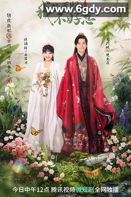 我的医妃不好惹3(2023)完结20集全迅雷网盘全集下载