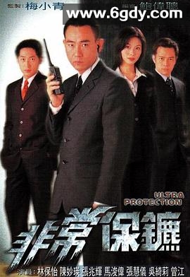 非常保镖(1999)完结20集全迅雷网盘全集下载