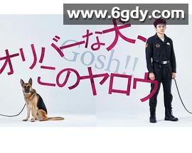 奥莉佛是狗，（天哪！！）这家伙(2021)完结已完结迅雷网盘全集下载