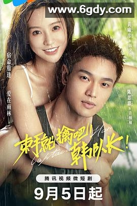 束手就擒吧！韩队长！(2023)完结23集全迅雷网盘全集下载