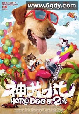 神犬小七 第二季(2016)完结已完结迅雷网盘全集下载