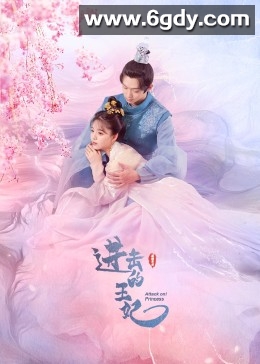 进击的王妃(2023)完结24集全迅雷网盘全集下载