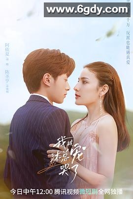 我被沐总宠哭了(2023)完结24集全迅雷网盘全集下载