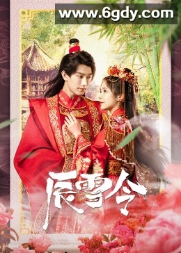 辰雪令(2023)完结18集全迅雷网盘全集下载