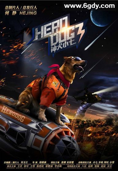 神犬小七 第三季(2019)完结43集全迅雷网盘全集下载