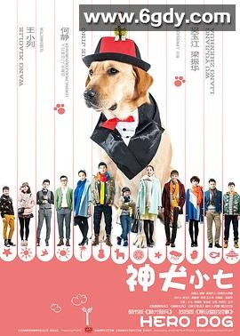 神犬小七 第一季(2015)完结40集全迅雷网盘全集下载