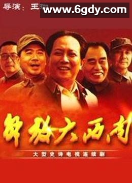 解放大西南(2010)完结30集全迅雷网盘全集下载
