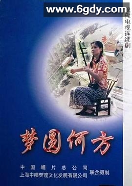 梦圆何方(1998)完结已完结迅雷网盘全集下载