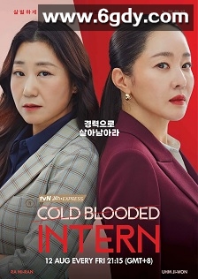 残酷的实习生(2023)完结12集全迅雷网盘全集下载