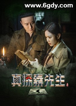 真探秦先生(2023)完结24集全迅雷网盘全集下载