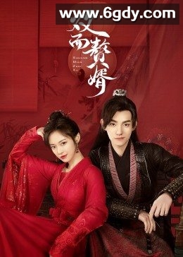 双面赘婿(2022)完结已完结迅雷网盘全集下载