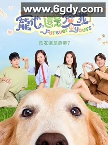 宠他，还是爱我？(2024)完结20集全迅雷网盘全集下载