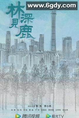 林深见鹿(2022)完结40集全迅雷网盘全集下载