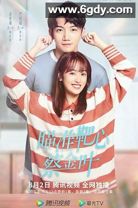 瞄准靶心！蔡金叶(2022)完结已完结迅雷网盘全集下载