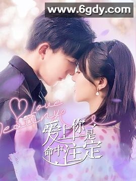 爱上你是命中注定(2022)完结已完结迅雷网盘全集下载