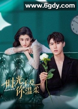 时光不及你温柔(2022)完结已完结迅雷网盘全集下载