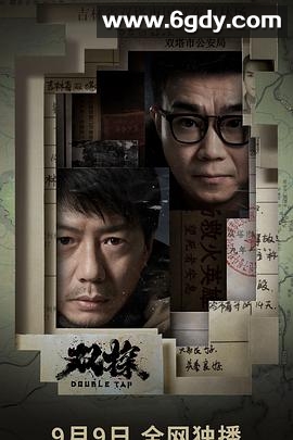 双探(2021)完结16集全迅雷网盘全集下载