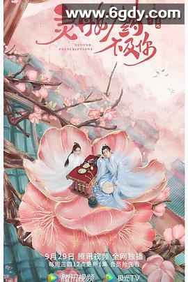 灵丹妙药不及你(2021)完结已完结迅雷网盘全集下载