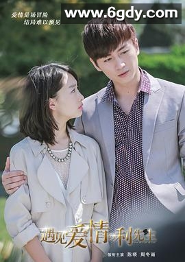 遇见爱情的利先生(2017)完结41集全迅雷网盘全集下载