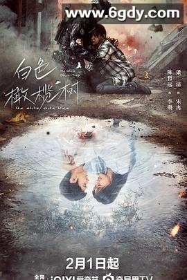 白色橄榄树(2025)完结38集全迅雷网盘全集下载