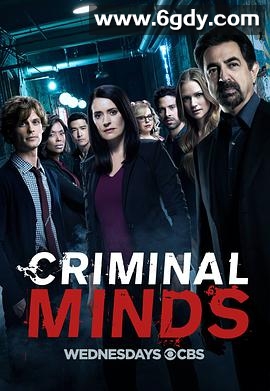 犯罪心理 第十三季(2017)完结22集全迅雷网盘全集下载