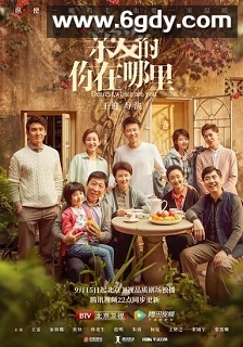 亲爱的，你在哪里(2020)完结41集全迅雷网盘全集下载