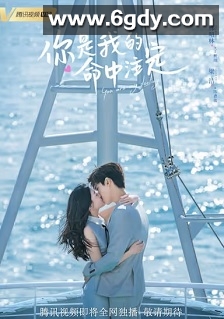 你是我的命中注定(2020)完结36集全迅雷网盘全集下载