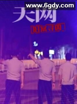 天网：旧案寻凶(2025)完结已完结迅雷网盘全集下载