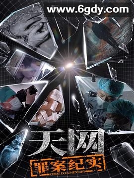 天网：罪案纪实(2025)完结已完结迅雷网盘全集下载